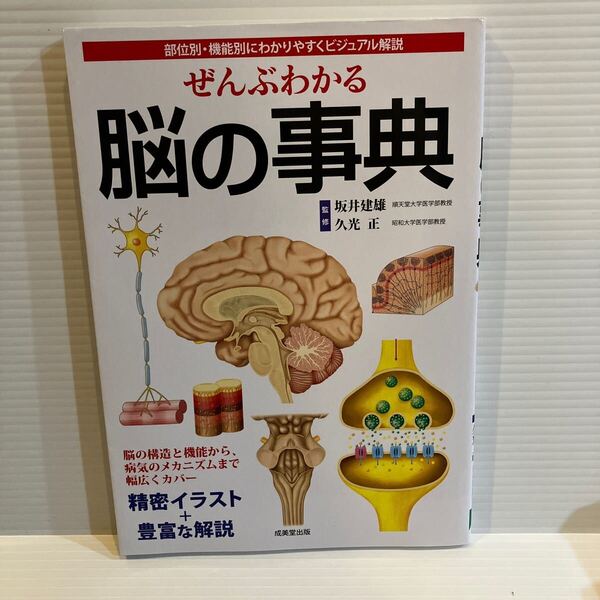 【送料込】ぜんぶわかる 脳の事典 坂井建雄 成美堂出版 古本