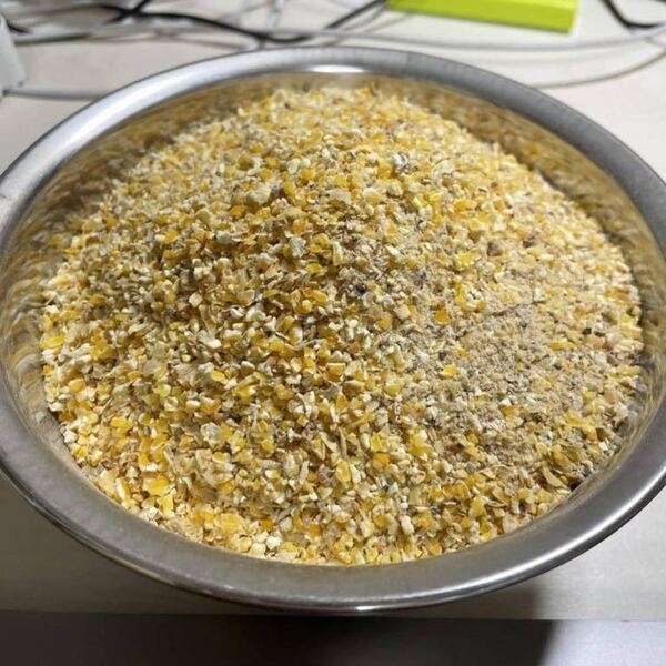 粉砕トウモロコシ 鶏の餌 おやつ カロリー強化に! 1kg入り