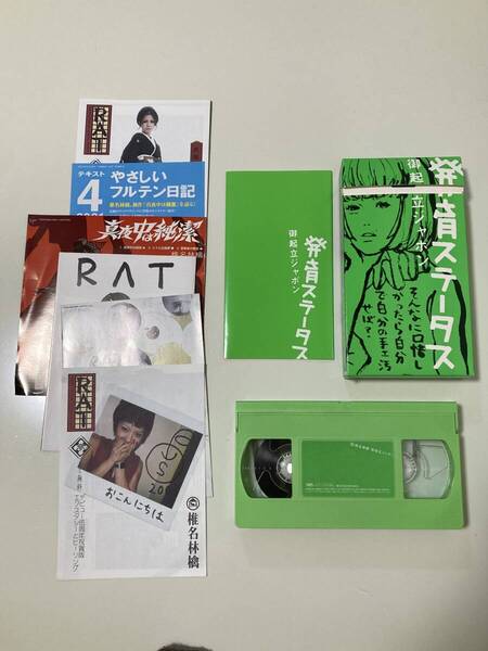 宝 椎名林檎 御起立ジャポン 発育ステータス VHS ビデオ チラシ フライヤー