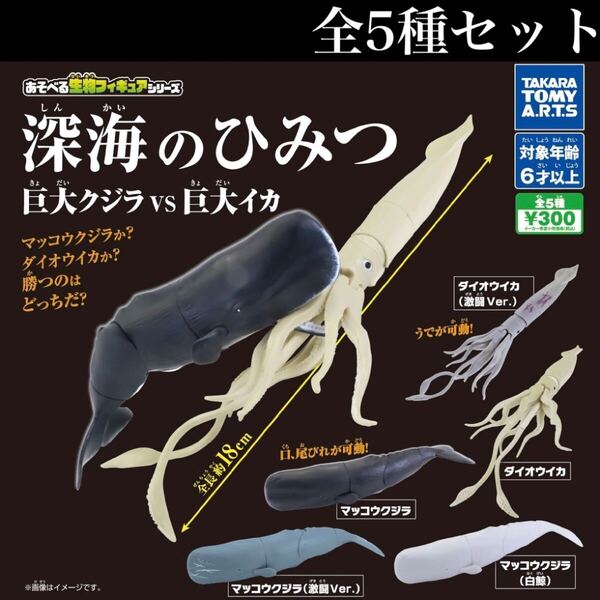 ■送料無料■ あそべる生物フィギュアシリーズ深海のひみつ 巨大クジラ VS 巨大イカ 全5種セット /深海の秘密/ミニチュア/ラスト