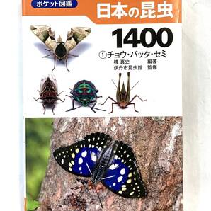 『ポケット図鑑日本の昆虫 1400 ①チョウ・バッタ・セミ 』、槐真史(えんじゅまさし)、株式会社 文一総合出版