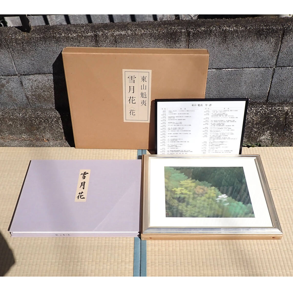 2025年最新】Yahoo!オークション -東山魁夷 複製画の中古品 2025年最新】Yahoo!オークション -東山魁夷 複製画の中古品