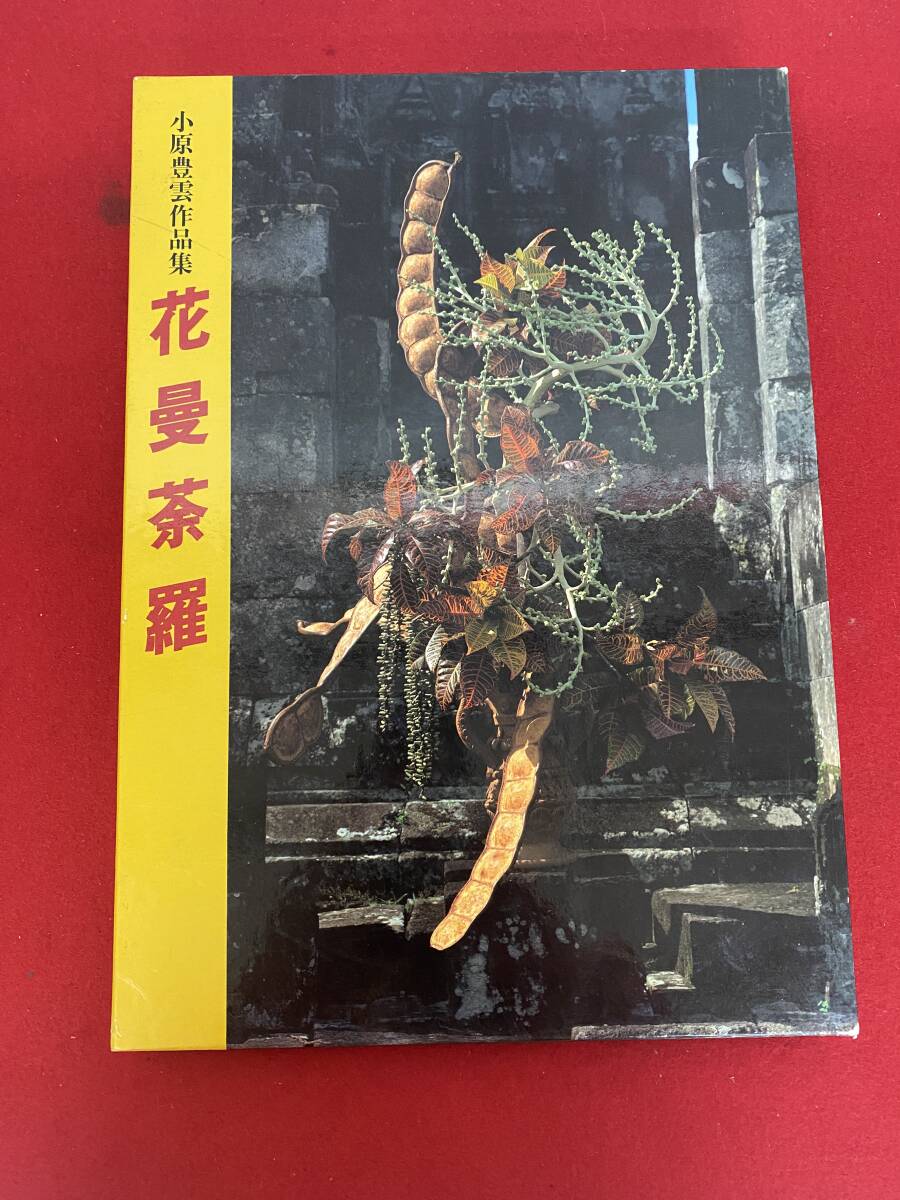 2025年最新】Yahoo!オークション -小原豊雲の中古品・新品・未