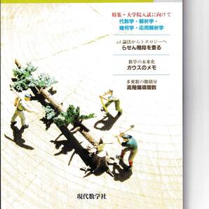 理系への数学 2006年7月 現代数学社 特集・大学院入試に向けて 代数学・解析学・幾何学・応用解析学