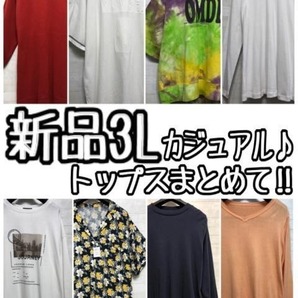 新品☆3L♪カジュアルトップス8枚まとめて!!お得セット〇L110