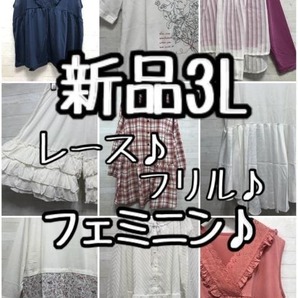新品☆3L♪フェミニン色々まとめて♪お得セット〇L117