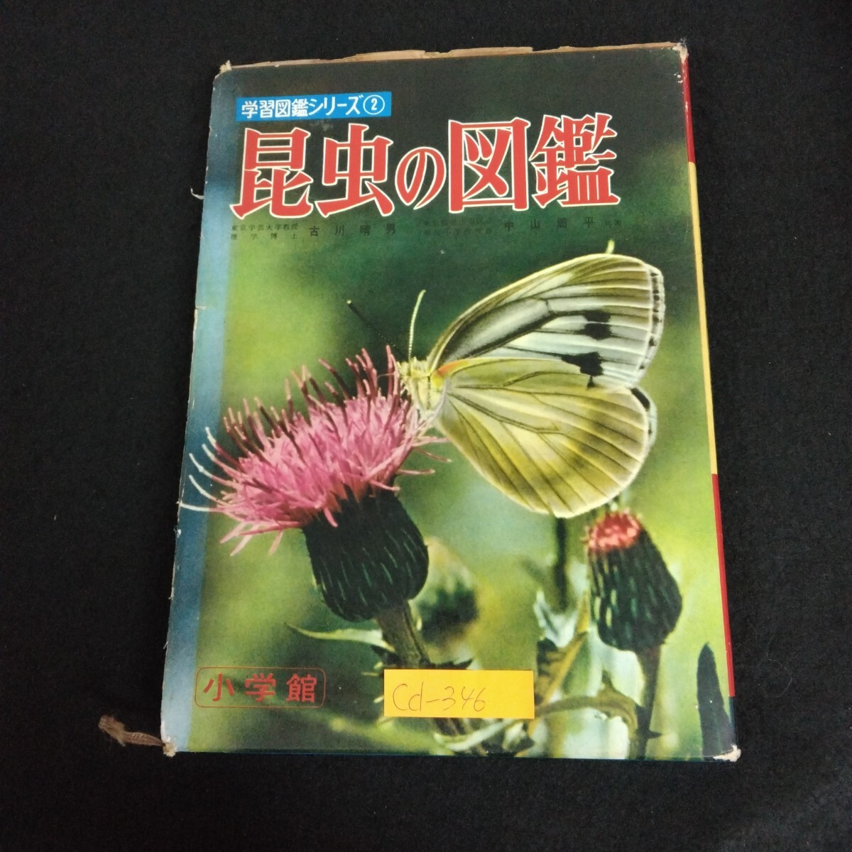 2025年最新】Yahoo!オークション -学習昆虫図鑑の中古品・新品