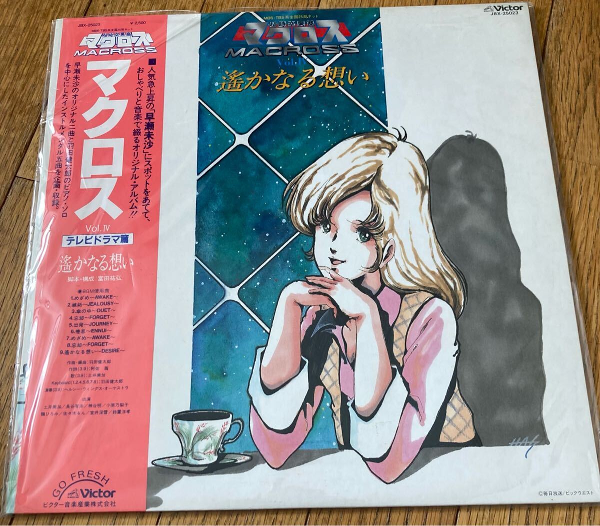 2025年最新】Yahoo!オークション -macross lpの中古品・新品・未