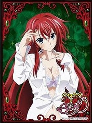 2025年最新】朱乃 スリーブの人気アイテム - メルカリ