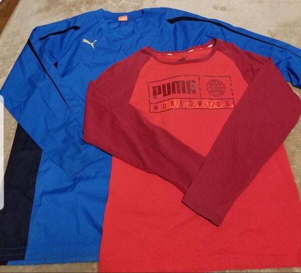PUMA プーマ 160cm サッカーウエア ウインドブレーカー 長袖Tシャツ 男の子 スポーツ