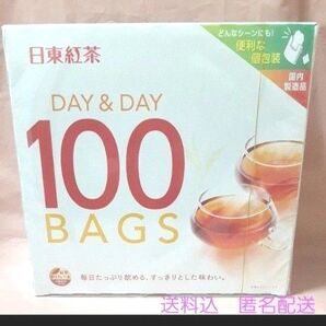 日東紅茶 DAY&DAY 100袋入 個包装 毎日たっぷり飲めるすっきりした味わい。