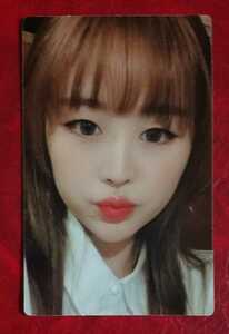 LOVELYZ Bay Be soul .. trading card prompt decision BabySoul trading card Rav Lee z4th Mini Album Korea record photo card knareno