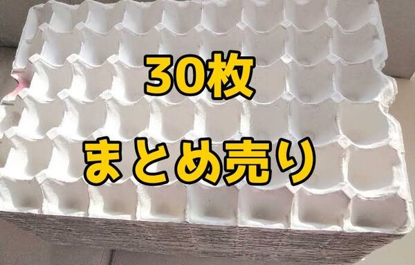 卵トレー 30枚 コオロギ等の飼育マット、デュビアファーム、防音材や梱包材等にも 卵パック 紙製品