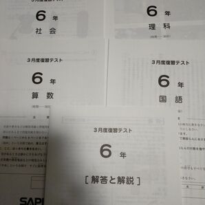 6年 SAPIX 2024年 3月度 復習テスト
