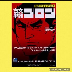 古文 単語 ゴロゴ 板野博行 大学 受験 テスト 難関大 国公立大 高校 高3 古典 国語 共通テスト ゴルゴ ゴロ覚え 漫画
