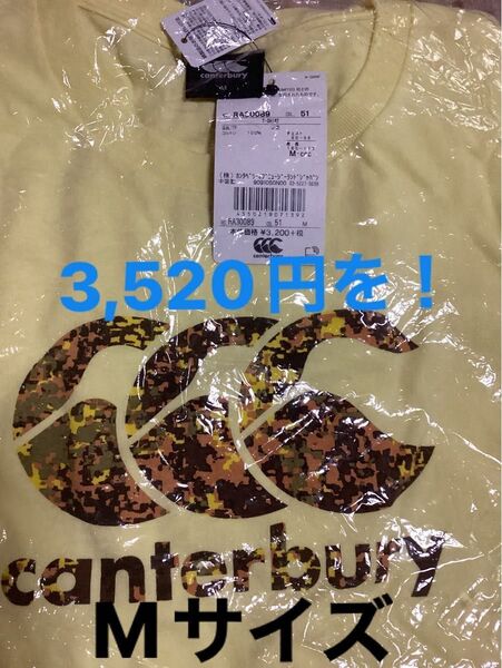 カンタベリーシャツ 半袖 Tシャツ Mサイズ 着丈68:身幅50:袖丈32cm 未開封新品