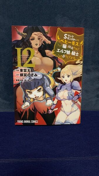 Sランクモンスターの《ベヒーモス》だけど、猫と間違われてエルフ娘の騎士として暮らしてます 12