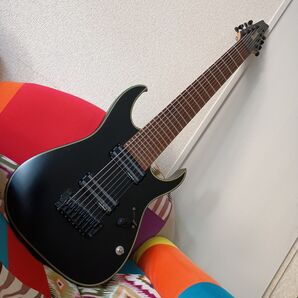 8弦ギター Ibanez RGIR38BFE strandberg PU