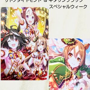 025【額装】ウマ娘 SPECIAL DREAMS サトノダイヤモンド&キタサンブラック他 A4ポスター×2枚 &額1枚セット