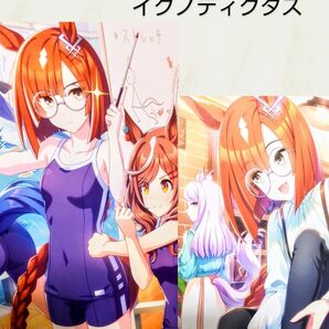 027【額装】ウマ娘 イクノディクタス 水着 & イラスト【A4ポスター×2枚 &額1枚セット】