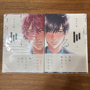 僕等に名前をつけるなら 上下 あがた愛