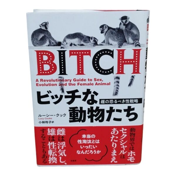 ビッチな動物たち 雌の恐るべき性戦略 ルーシー・クック/著 小林玲子/訳