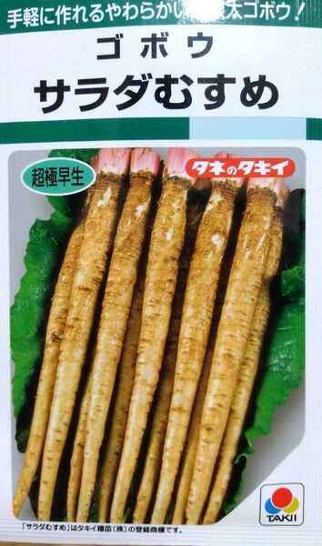 【3〜6月随時種まき可能】ゴボウ サラダむすめ 25粒 おためし量(タキイ)