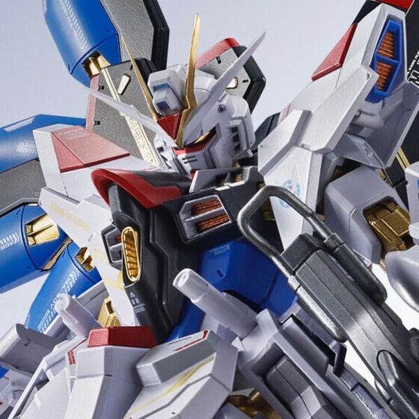 METAL ROBOT魂 SIDE MSストライクフリーダムガンダム弐式プラウドディフェンダー&エフェクトパーツセット