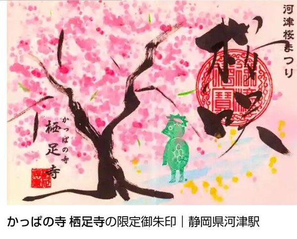 河津桜まつり限定御朱印 2025年 かっぱの寺栖足寺