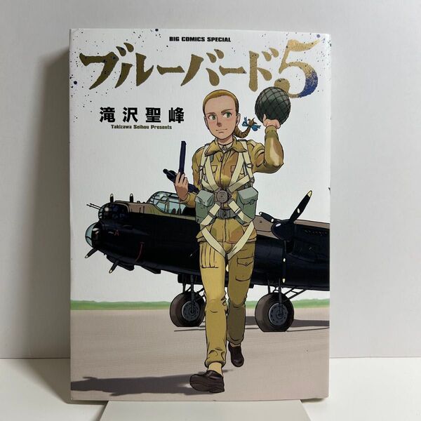 ブルーバード5 滝沢聖峰