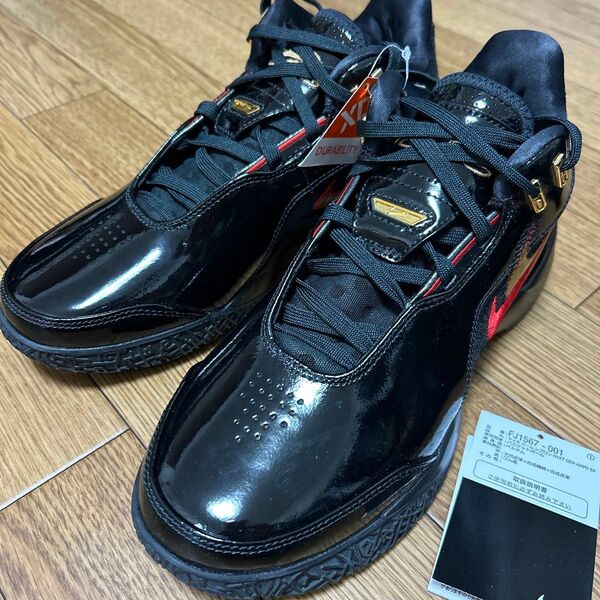 ナイキ レブロン NXXT Gen AMPD EP 26cm FJ1567