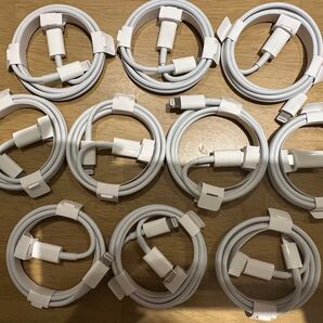 新品 Apple純正品 USB タイプC to ライトニングケーブル 10点