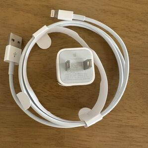 新品未使用 iPhone Apple 充電器 ケーブル アダプタ セット 純正
