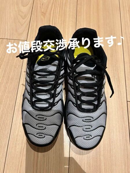 NIKE AIR MAXプラス!!スニーカー【25センチ】