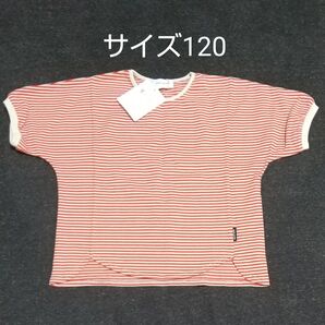 quoti use fith 新品未使用 ボーダー 半袖 カットソー 120cm トップス Tシャツ