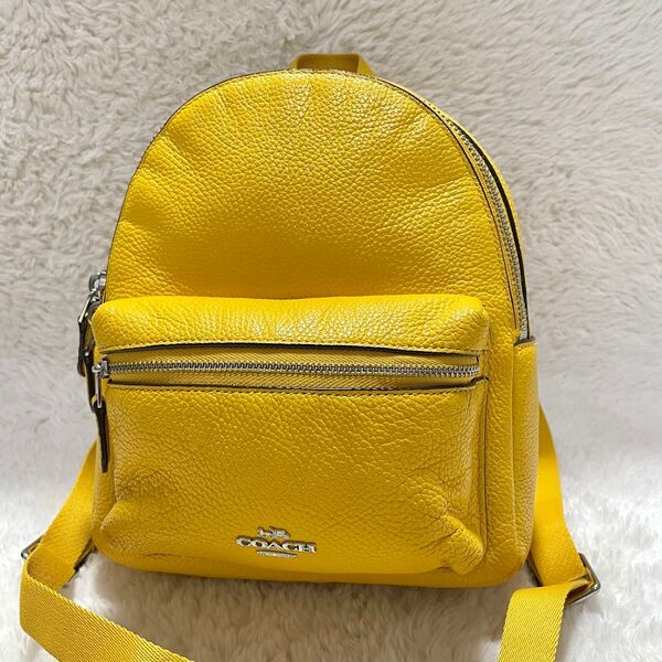 希少カラー COACH コーチ F38263 ミニ チャーリー レザー リュック