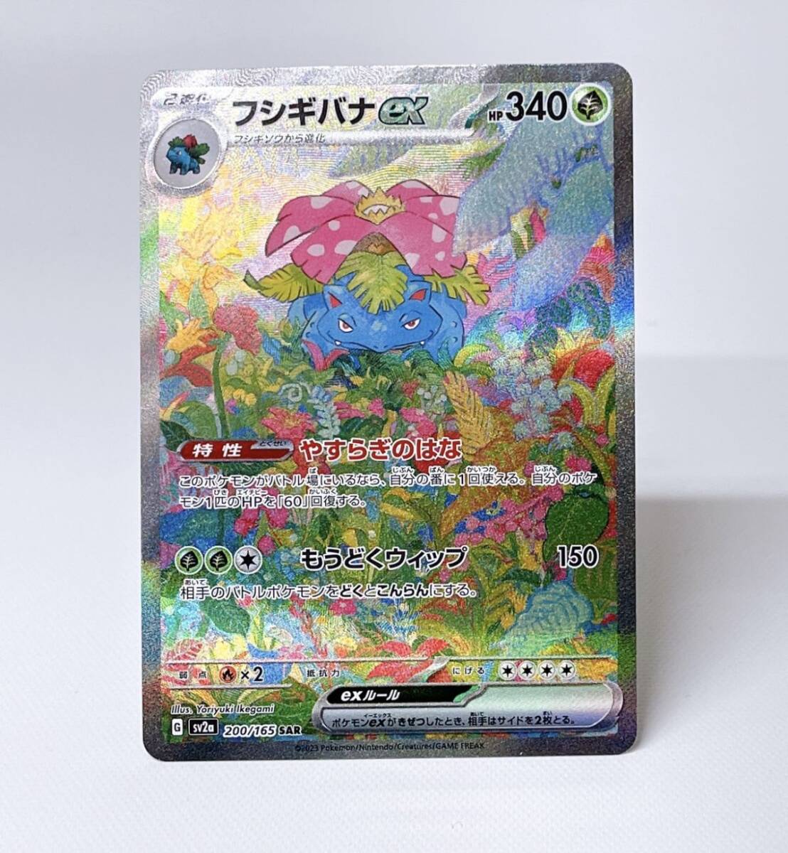 Yahoo!オークション -「ポケモンカード151 フシギバナ」の落札 Yahoo!オークション -「ポケモンカード151 フシギバナ」の落札