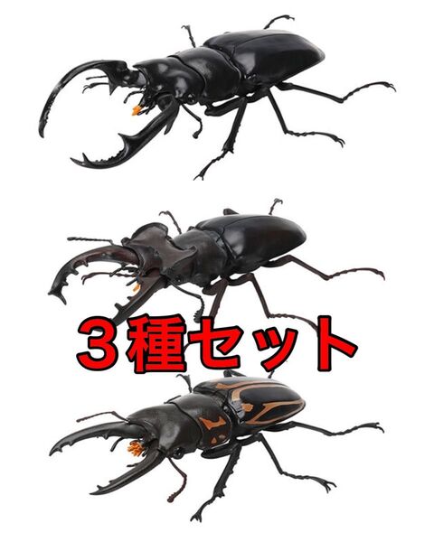 〈3種セット〉 いきもの大図鑑くわがた07 バンダイ