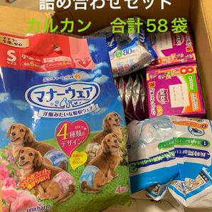 猫 カルカンパウチ ゼリー仕立て パテ合計58袋詰め合わせ
