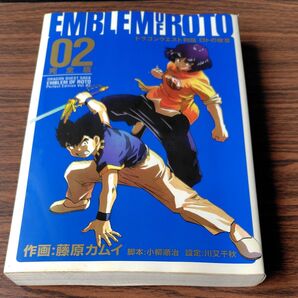ロトの紋章 完全版 02 藤原カムイ