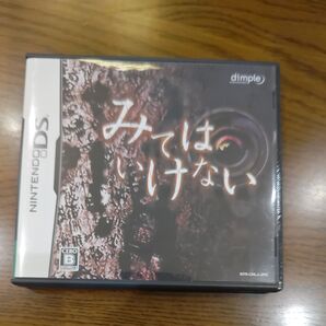 ニンテンドーDS みてはいけない ソフト