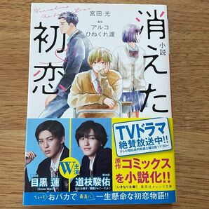 消えた初恋 小説 宮田光