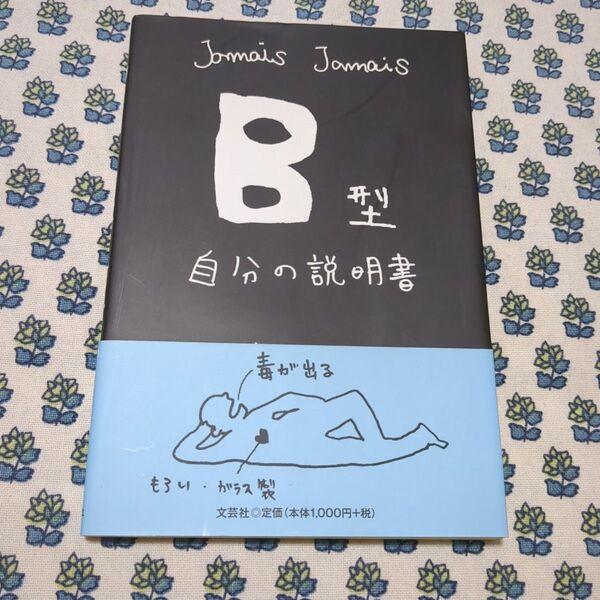 美品 B型自分の説明書