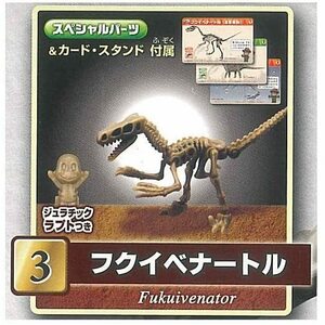 §　ほねほねザウルス×福井県立恐竜博物館EX [3.フクイベナートル