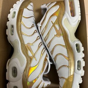 Air vapor max plus エアヴェイパーマックスプラス