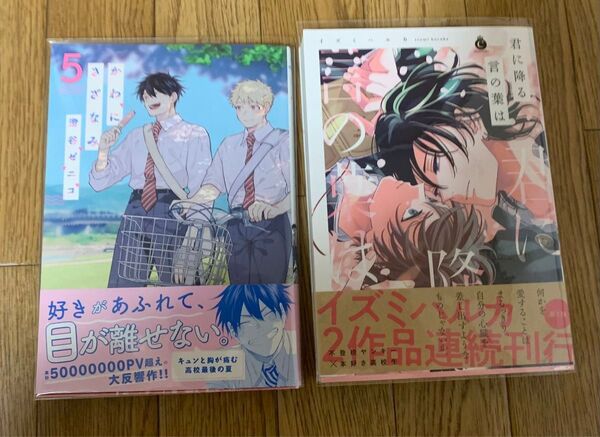BLコミック 2冊セット 澄谷ゼニコ『かわにさざなみ 5巻』イズミハルカ『君に降る言の葉は』