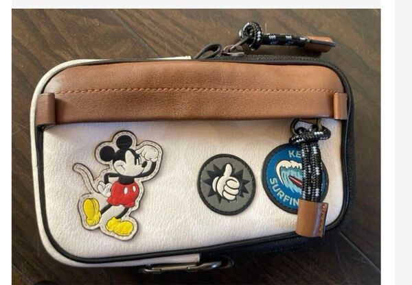 COACH ポーチ コーチ バッグ ミニポーチ ディズニー