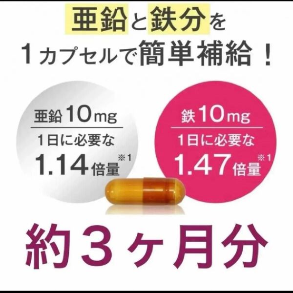 栄養機能食品★鉄と亜鉛のサプリメント★味覚シミそばかす肌のハリ育毛★口内炎貧血