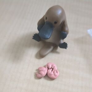 ガチャカモノハシ