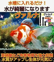 琉金の飼育者も愛用してます！